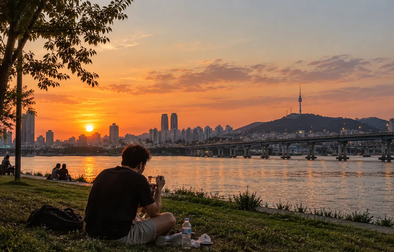 Eating ramyeon on the grass at a Han River park at sunset, with a bridge and N Seoul Tower in the background
